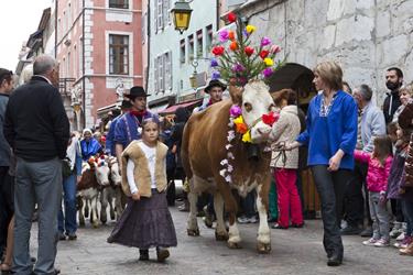 RETURN FROM THE ALPINE PASTURES