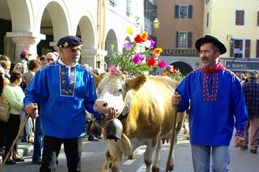 Retour des Alpages (Annecy) - le 08 octobre 2016