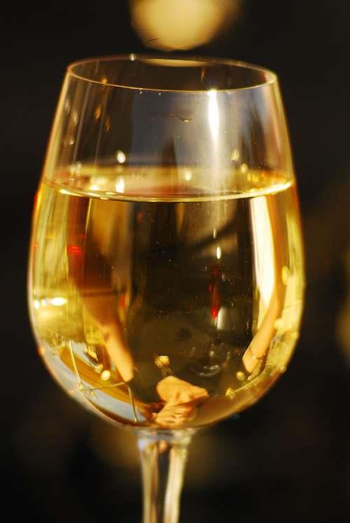 LE CONDRIEU : VIOGNIER DANS TOUTE SA SPLENDEUR - Picture 1