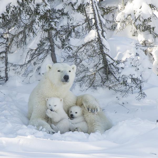 Dorota & Bruno Sénéchal