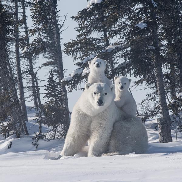Dorota & Bruno Sénéchal