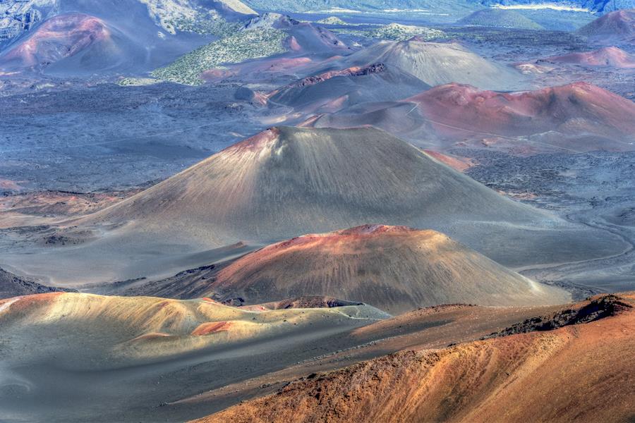 Dorota & Bruno Sénéchal