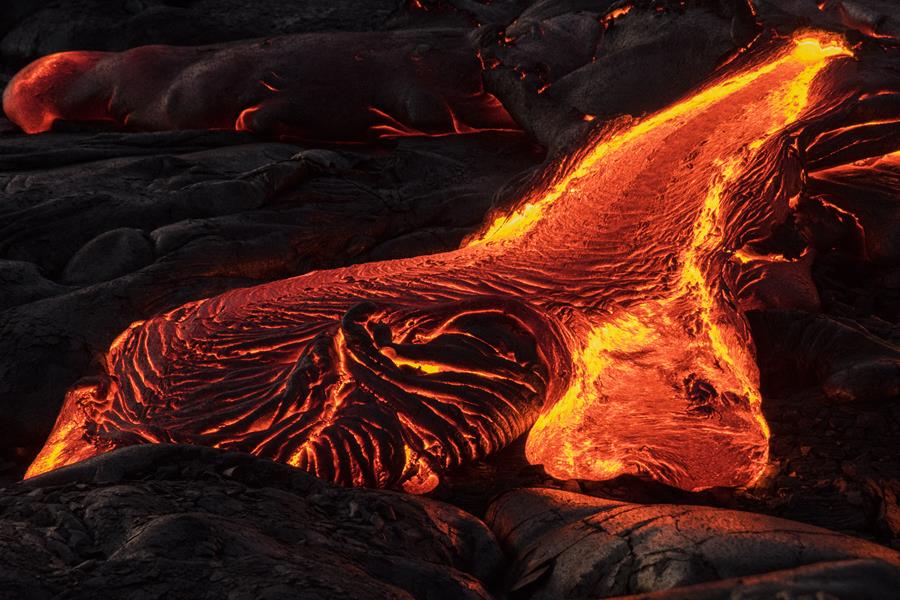 Dorota & Bruno Sénéchal