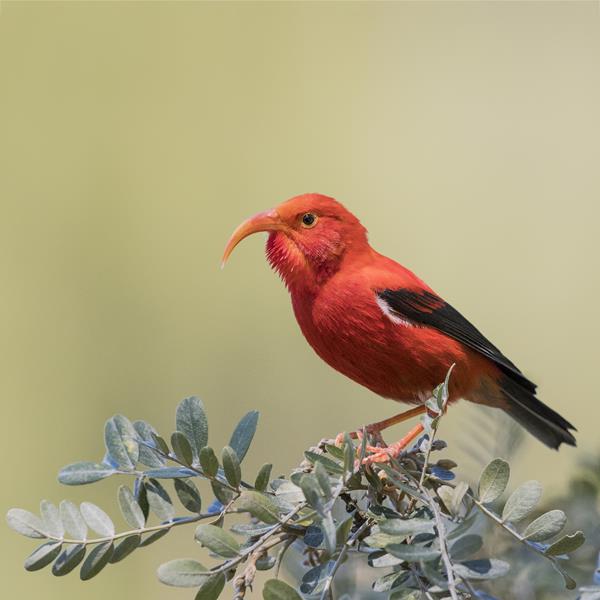 Dorota & Bruno Sénéchal