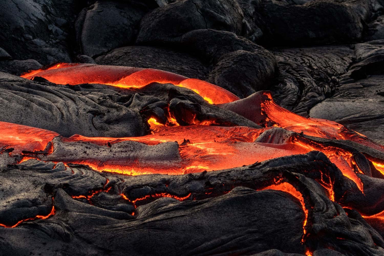 Exposition “Ice & Fire<br>De glace et de feu”<br>Bruno & Dorotha Sénéchal