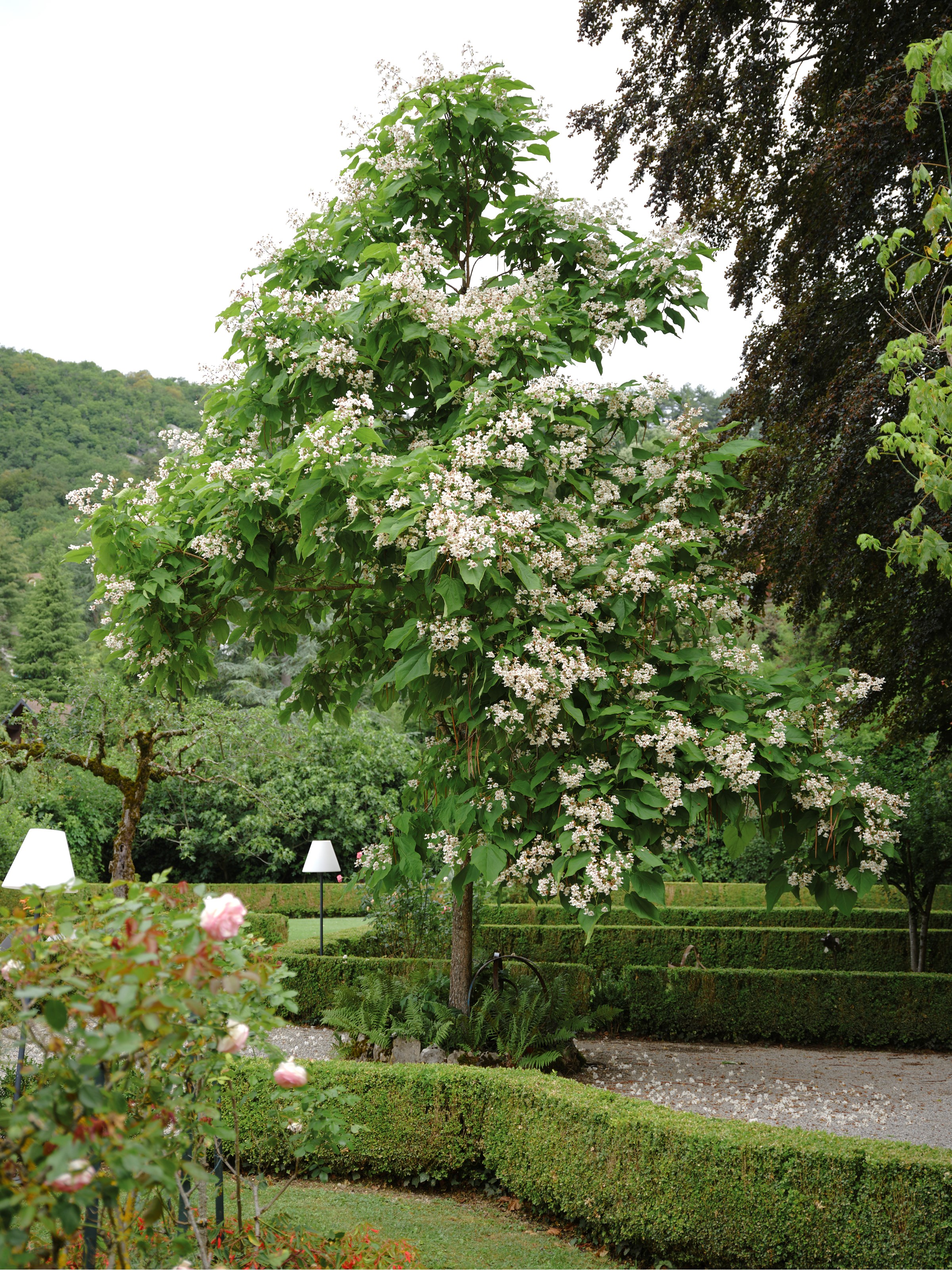 Talloires et ses alentours -image